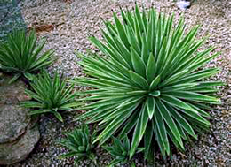image010.png