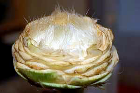 image014.png