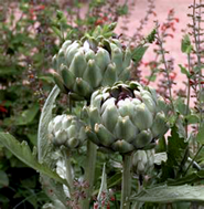 image015.png